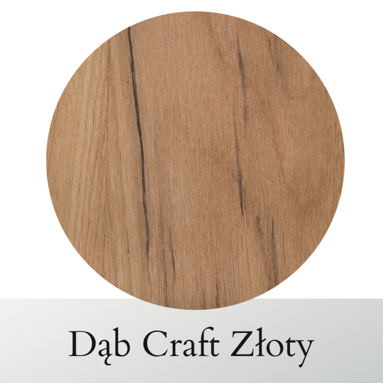 inforgrafika (5).png